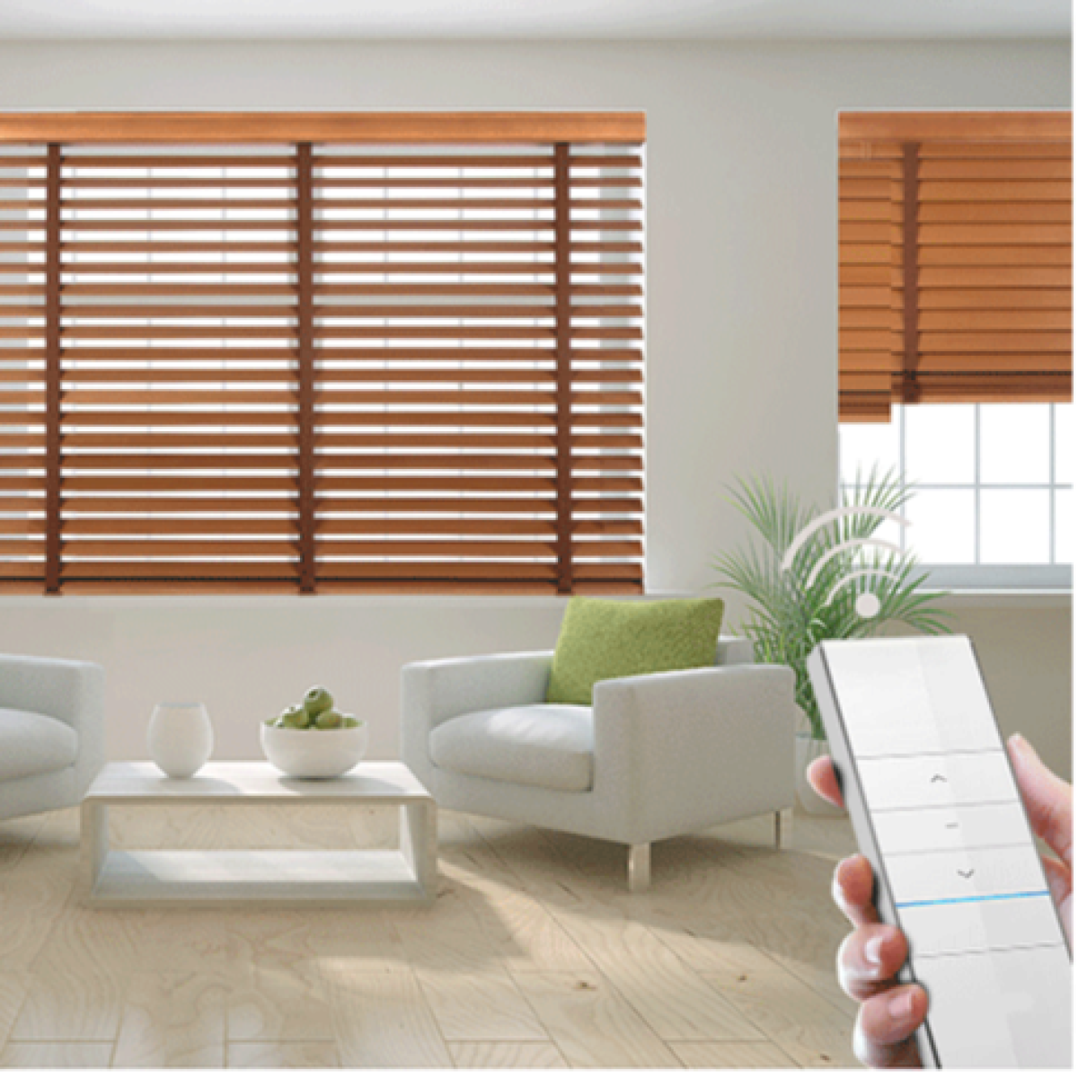 Venetian Blinds